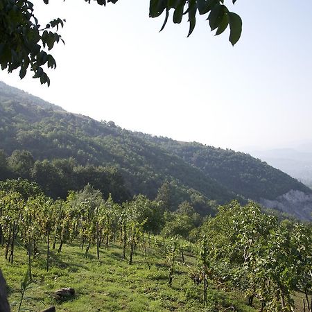 Fattoria Alvaneta Padula Exterior foto