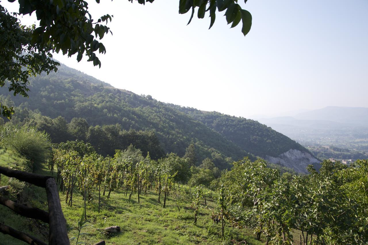 Fattoria Alvaneta Padula Exterior foto