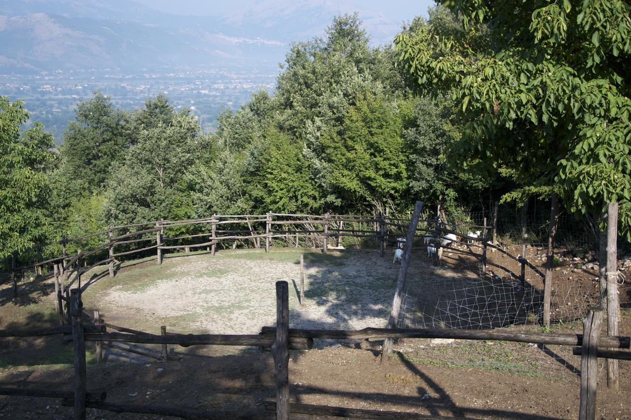 Fattoria Alvaneta Padula Exterior foto